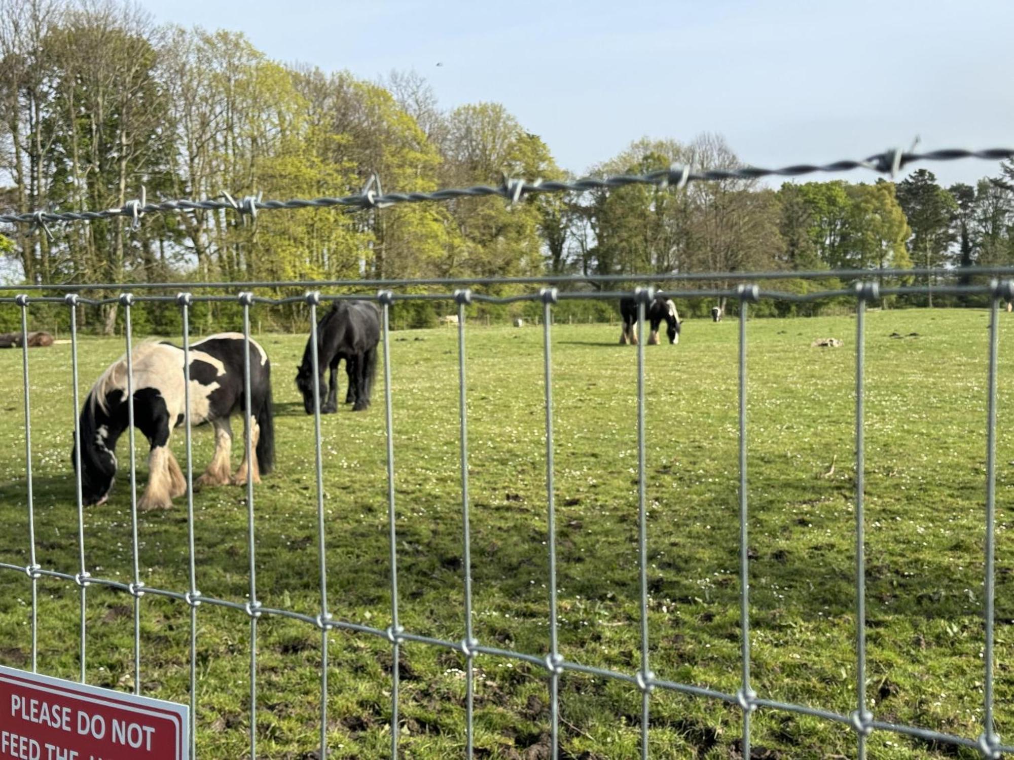 Pony Gate Caravan On Haggerstone Castle West Lawn Berwick Upon Tweed Екстер'єр фото