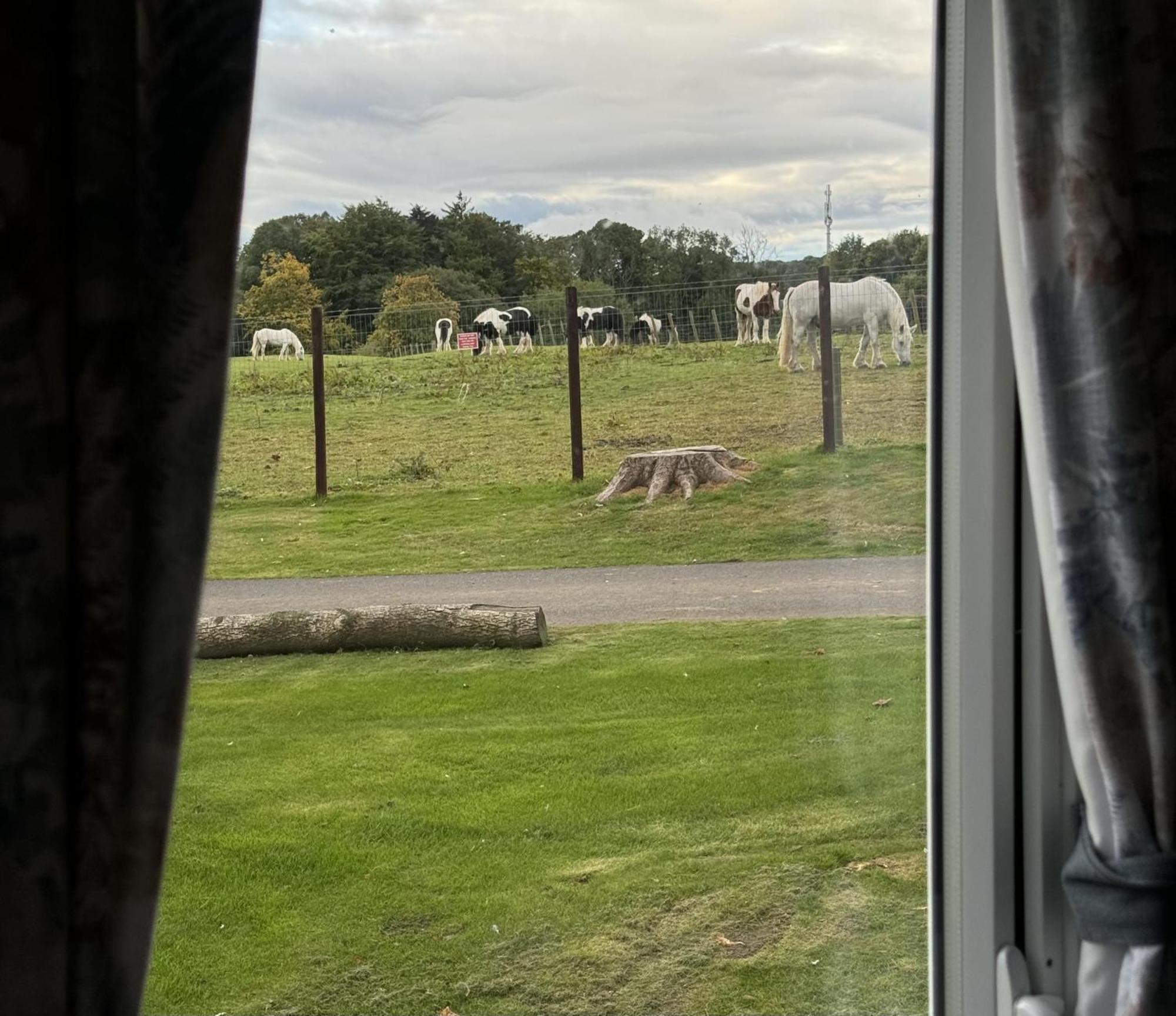 Pony Gate Caravan On Haggerstone Castle West Lawn Berwick Upon Tweed Екстер'єр фото